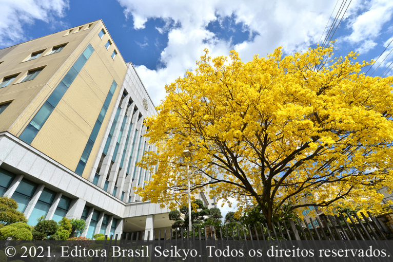 O desabrochar das flores da recompensa visível 