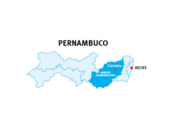 O Agreste é uma região de Pernambuco com uma população de quase 2 milhões de pessoas distribuídas em uma área de mais de 24 mil quilômetros, o que representa quase um quarto do território do estado. Há pontos de turismo ecológico. Caruaru é a cidade do forró, e Garanhuns é conhecida pelas luzes de Natal. Cenários que contrastam com a região das secas. Estes são os dezenove municípios abraçados pelo Distrito Agreste (Área Pernambuco Oeste, CRE Leste), cuja distância parte da cidade de Caruaru: Caruaru (inclusive), Toritama (40 km), Camocim de São Félix (45 km), Lagoa dos Gatos (50 km), Gravatá (54 km),Belo Jardim (53 km), Bonito (60 km), Frei Miguelinho (63 km), Santa Cruz do Capibaribe (65 km), Sanharó (67 km), Jupi (75 km), Surubim (80 km), Pesqueira (82 km),  Limoeiro (91 km), Garanhuns (100 km), Arcoverde (124 km), Águas Belas (180 km), Itaíba (200 km) e Angelim (105 km)   