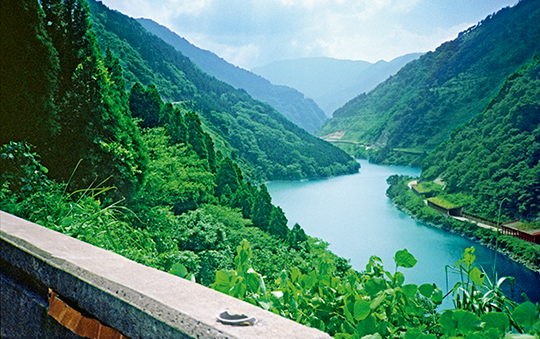 Não são o destino ou o ambiente que definem a felicidade ou a infelicidade