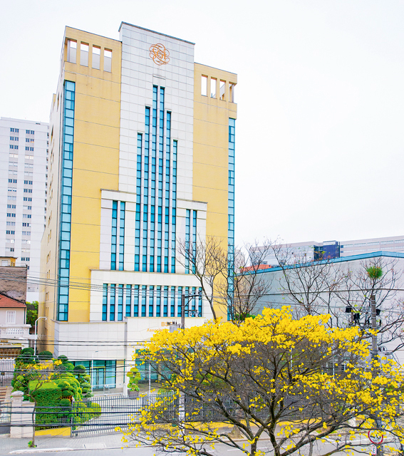 ipê amarelo