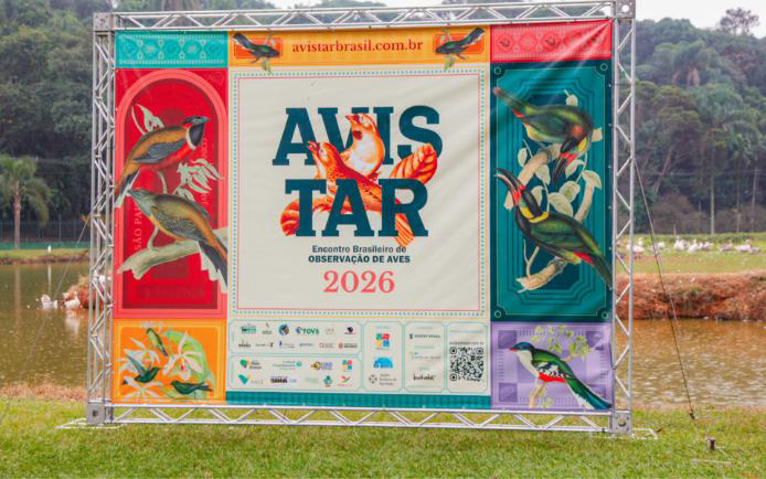 avistar