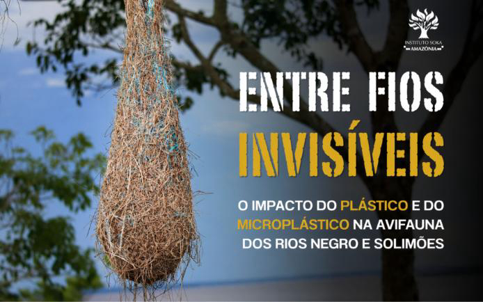 Entre Fios Invisíveis: O Impacto do Plástico e do Microplástico na Avifauna dos Rios Negro e Solimões