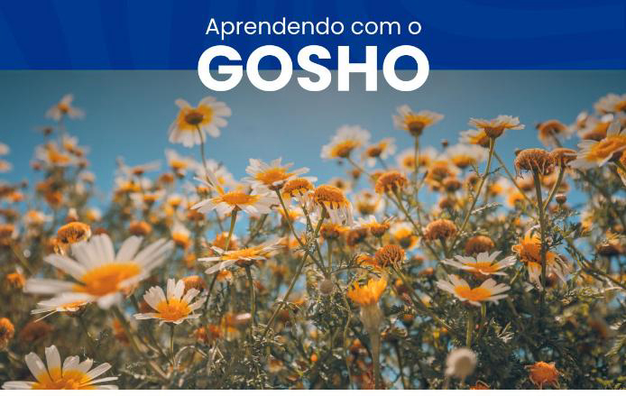 Não existe arrependimentos na luta de mestre e discípulo