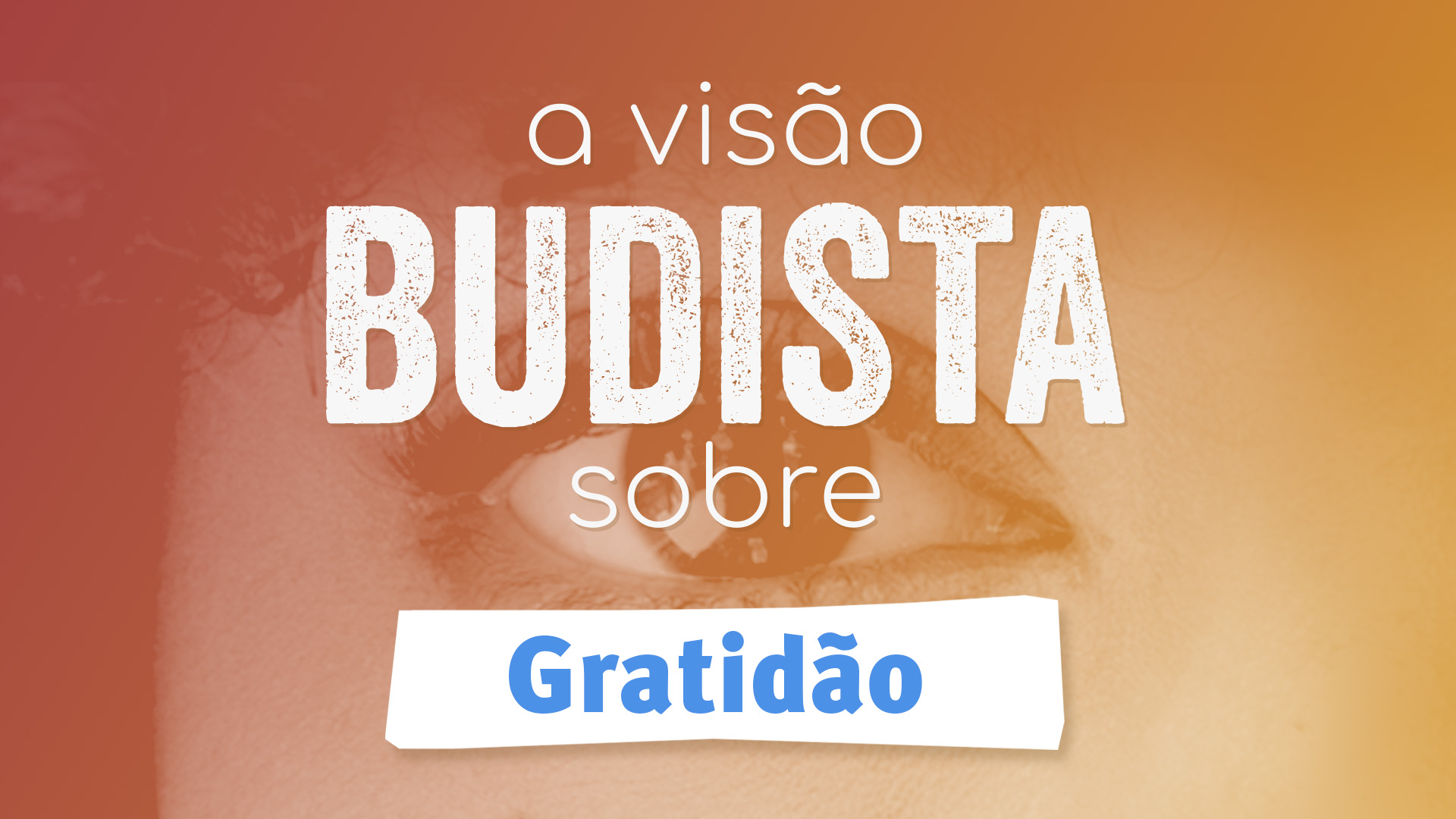 Visualização do vídeo