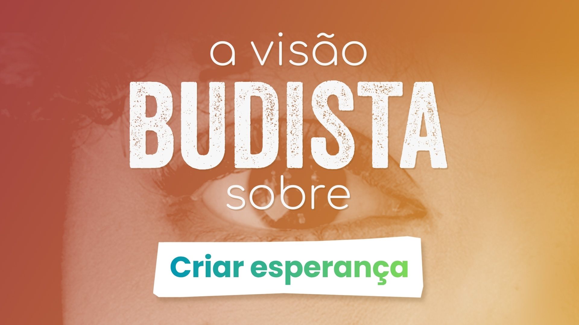 Visualização do vídeo